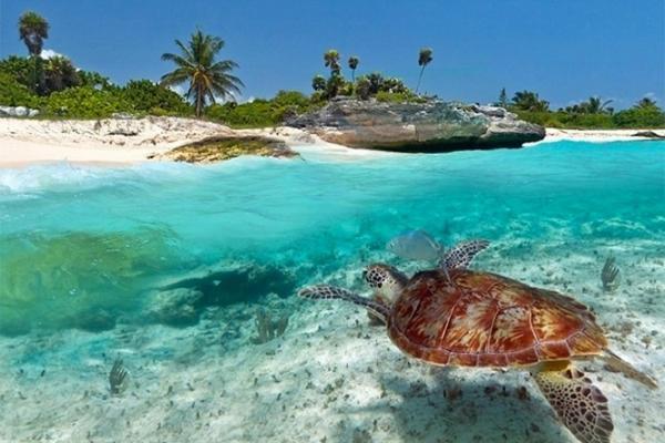 Aparthotel Kuwa Zanzibar Kiwengwa  Exteriér fotografie